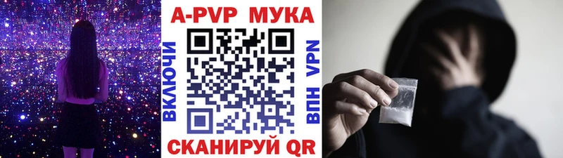 Купить  Западная Двина  A PVP СК КРИС 