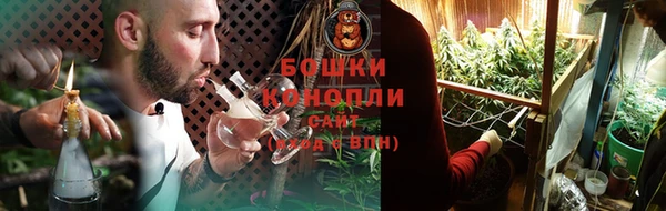 дурь Осинники