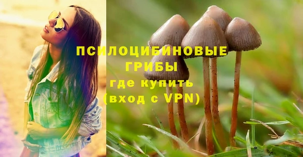 дурь Осинники