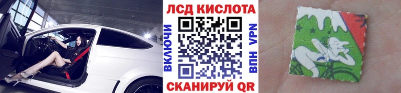 Купить где  Западная Двина  Марки NBOMe 1,5мг 
