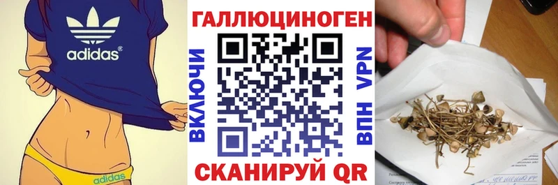 Купить закладки  Западная Двина  Псилоцибиновые грибы мицелий 